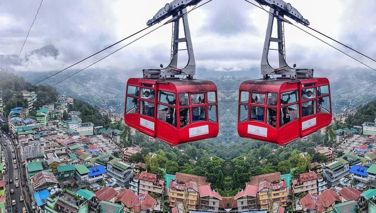 WhatsApp Image 2025-02-17 at 17.19.47.jpeg